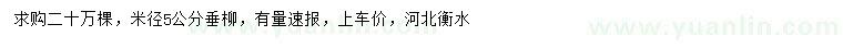 求購米徑5公分垂柳