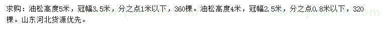求購高4、5米油松
