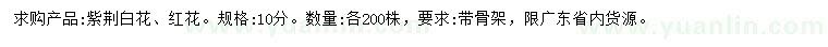 求購(gòu)10公分紫荊
