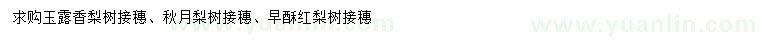 求購玉露香梨樹接穗、秋月梨樹接穗、早酥紅梨樹接穗