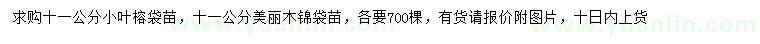 求購11公分小葉榕、美麗木錦