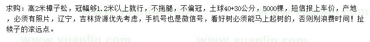 求購高2米樟子松