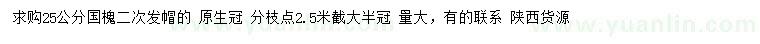 求購25公分國槐