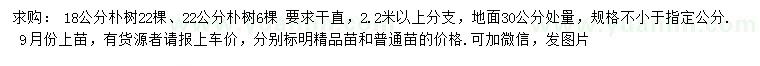 求購30量18、22公分樸樹