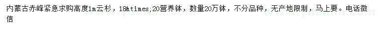 求購高1米云杉