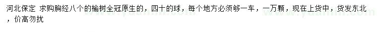求購胸徑8公分榆樹