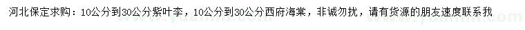 求購(gòu)10-30公分紫葉李、西府海棠