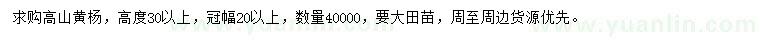 求購高30公分以上高山黃楊
