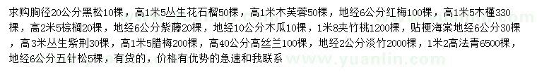 求購黑松、叢生花石榴、木芙蓉等