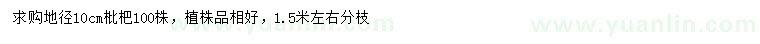求購地徑10公分枇杷樹
