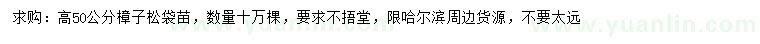 求購高50公分樟子松