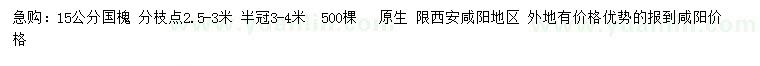 求購15公分國槐