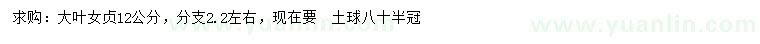 求購12公分大葉女貞