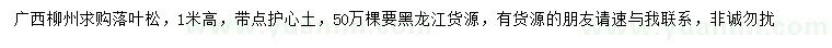 求購高1米落葉松