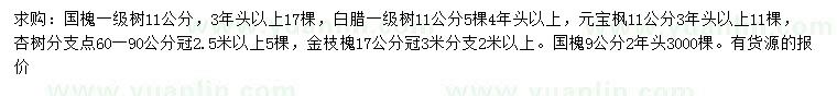 求購國槐、白蠟、元寶楓等