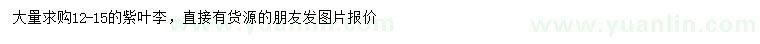 求購12-15公分紫葉李