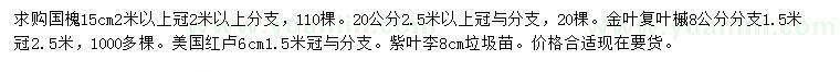 求購(gòu)國(guó)槐、金葉復(fù)葉槭、美國(guó)紅櫨等