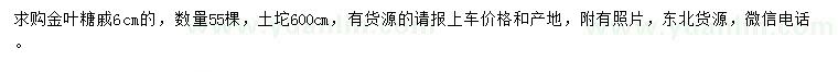 求購6公分金葉糖槭