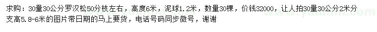 求購30量30公分羅漢松