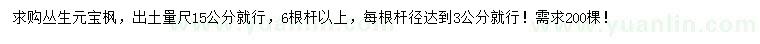 求購15公分叢生元寶楓