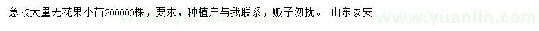 求購無花果小苗