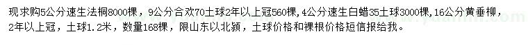 求購速生法桐、合歡、速生白蠟等