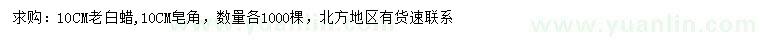 求購10公分老白蠟、皂角