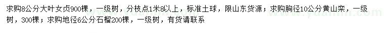 求購大葉女貞、黃山欒、石榴樹