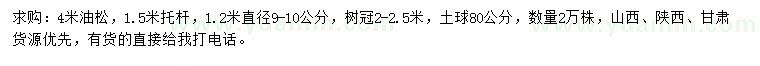 求購1.2米量9-10公分油松