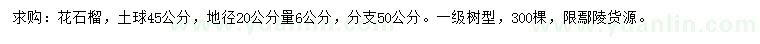 求購(gòu)地徑20公分量6公分花石榴