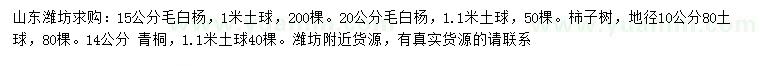 求購毛白楊、柿子樹、青桐