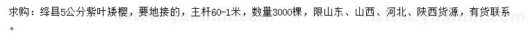 求購5公分紫葉矮櫻