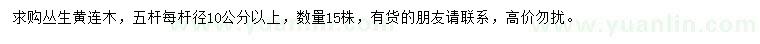 求購叢生黃連木