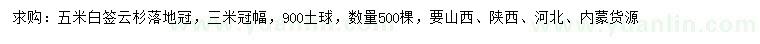求購5米云杉