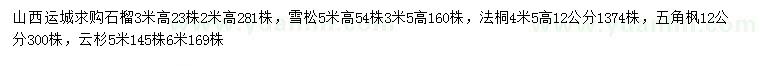 求購石榴樹、雪松、法桐等