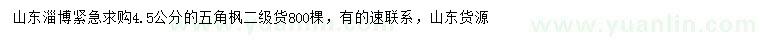 求購(gòu)4.5公分五角楓