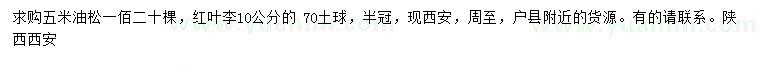 求購5米油松、10公分紅葉李