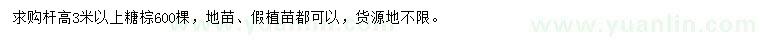 求購高3米以上糖棕