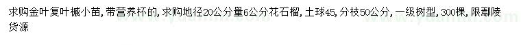 求購金葉復(fù)葉槭小苗、20量6公分花石榴