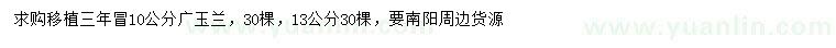求購10、13公分廣玉蘭