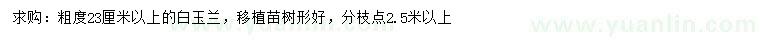 求購(gòu)23公分以上白玉蘭