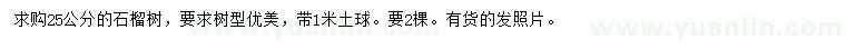 求購25公分石榴樹