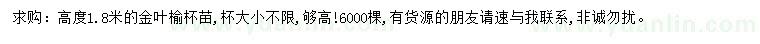 求購高1.8米金葉榆