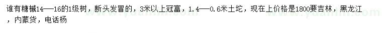 求購14-16公分糖槭