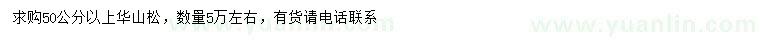 求購50公分以上華山松