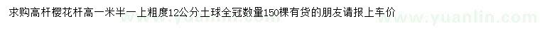 求購高1.5米高桿櫻花