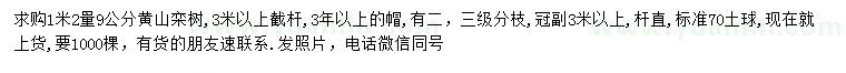 求購1.2米量9公分黃山欒樹