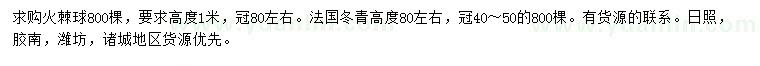 求購(gòu)高1米火棘球、80公分法國(guó)冬青