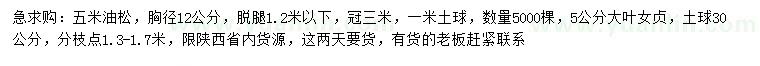 求購(gòu)胸徑12公分油松、5公分大葉女貞