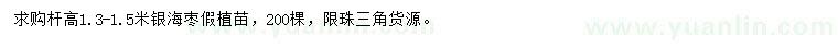 求購(gòu)高1.3-1.5米銀海棗